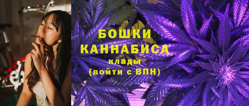 магазин  наркотиков  Пугачёв  Конопля планчик 